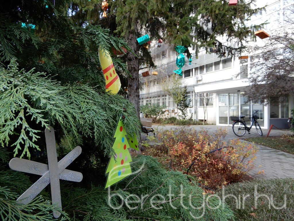 Fenyődíszítés a kórházban 29